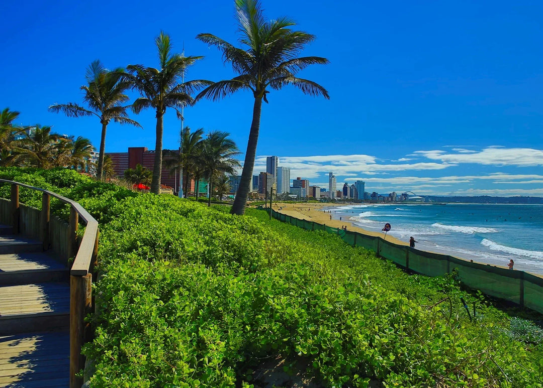 Stoners Guide to Durban: Where to Find the Good Stuff (Cannabis Dispensary)