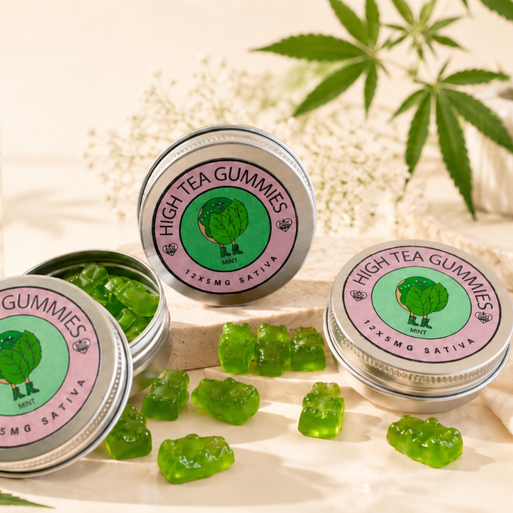 Mint 5mg Gummies (12-Pack)